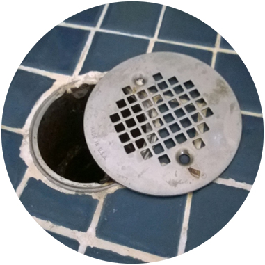 Scary Shower Drain Insects House Centipedes Emily Moon Blog